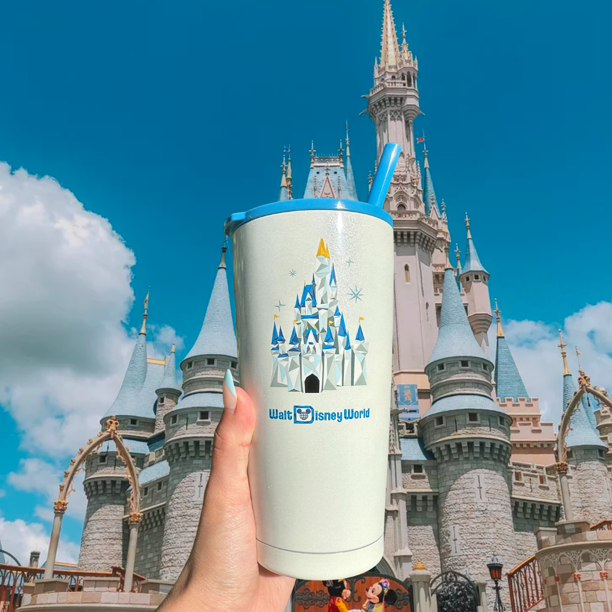 Reusable stainless steel tumbler