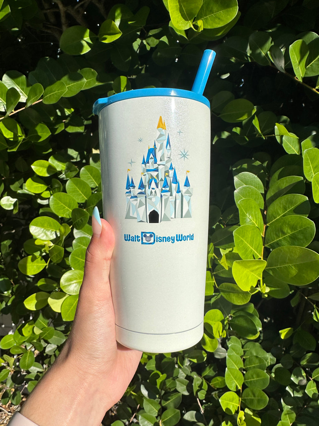 Reusable stainless steel tumbler