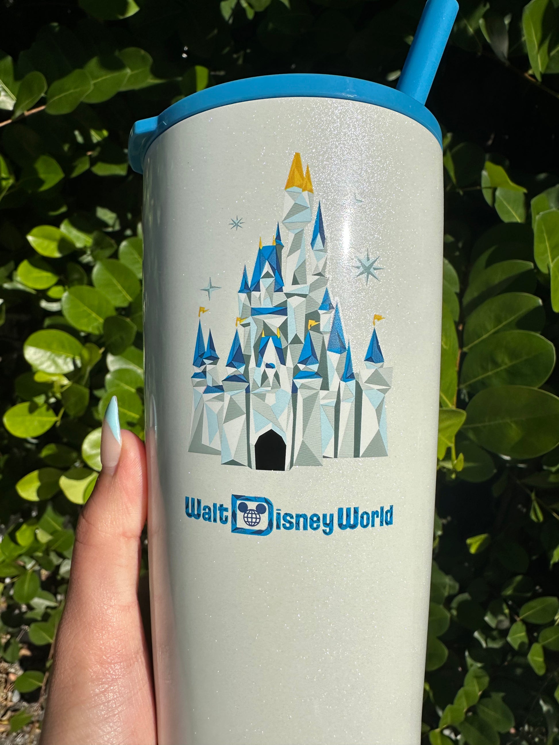 Reusable stainless steel tumbler