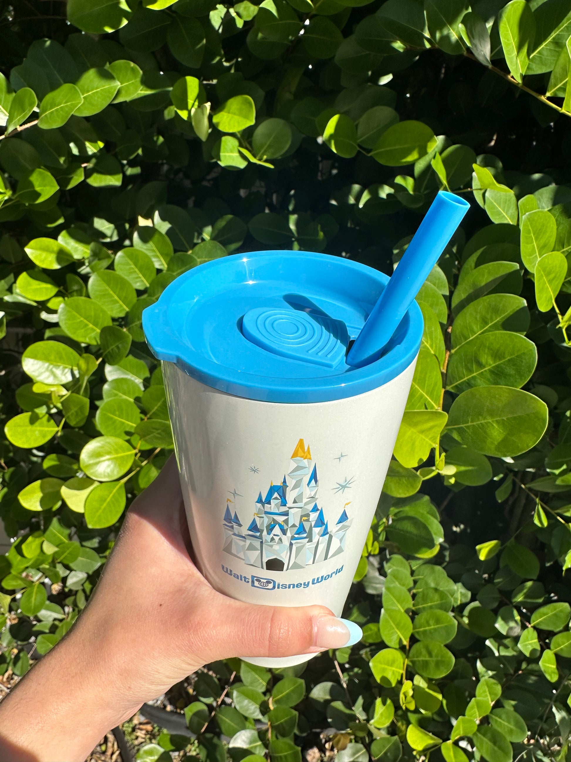 Reusable stainless steel tumbler