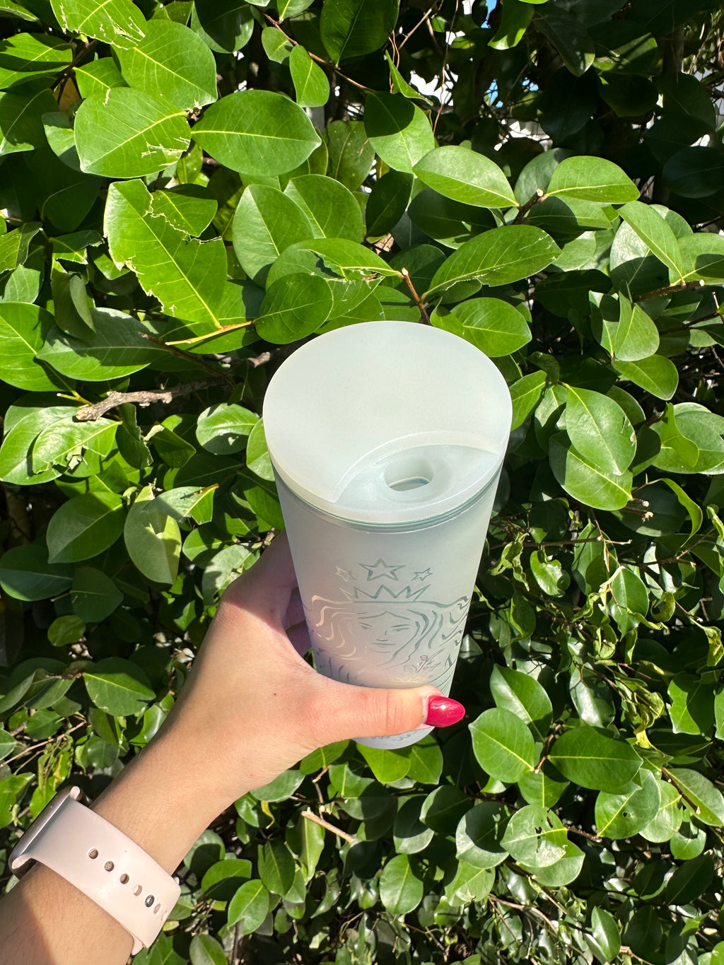 Mermaid 50th anniversary 16 oz tumbler