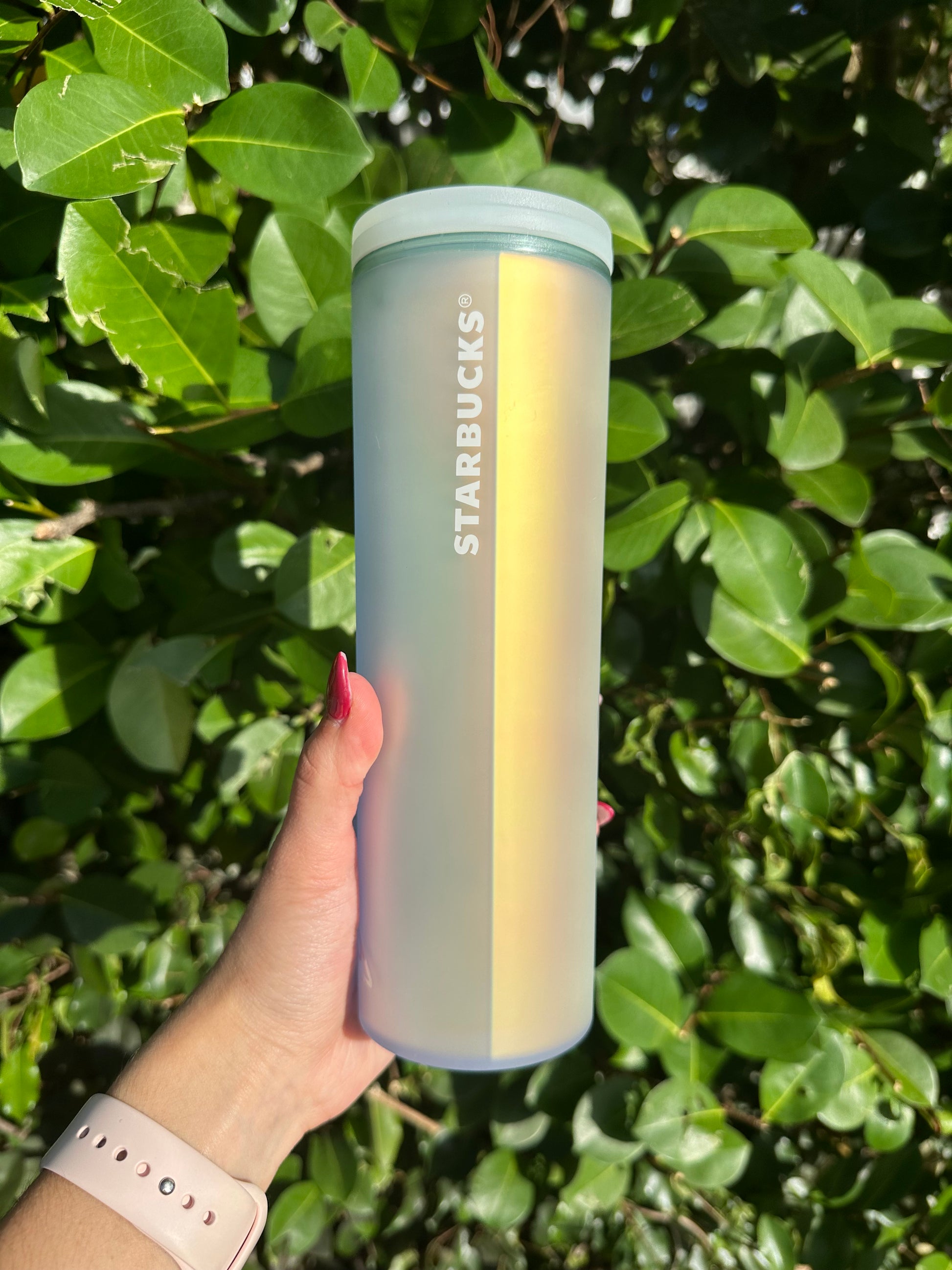 Mermaid 50th anniversary 16 oz tumbler