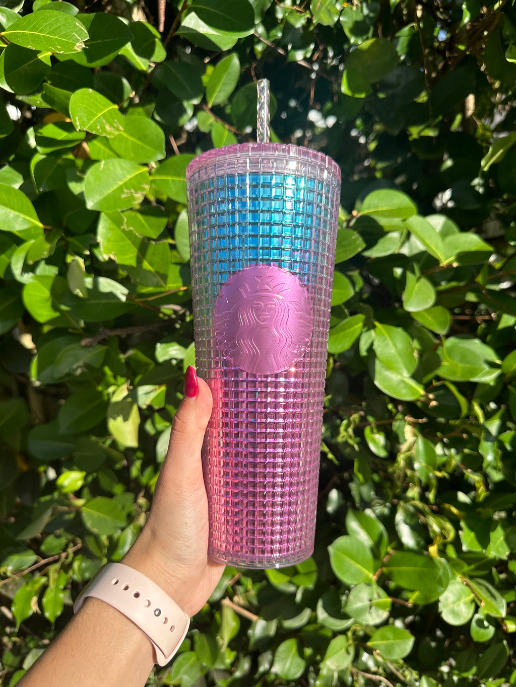 Pink and Blue ombre Grid 24 oz Tumbler
