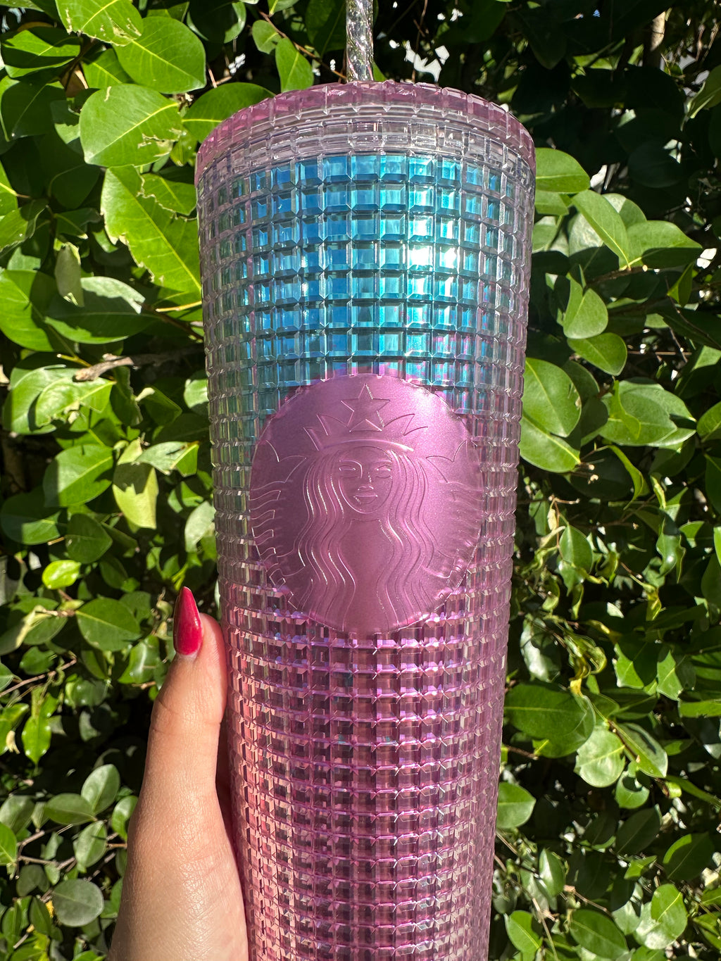 Pink and Blue ombre Grid 24 oz Tumbler
