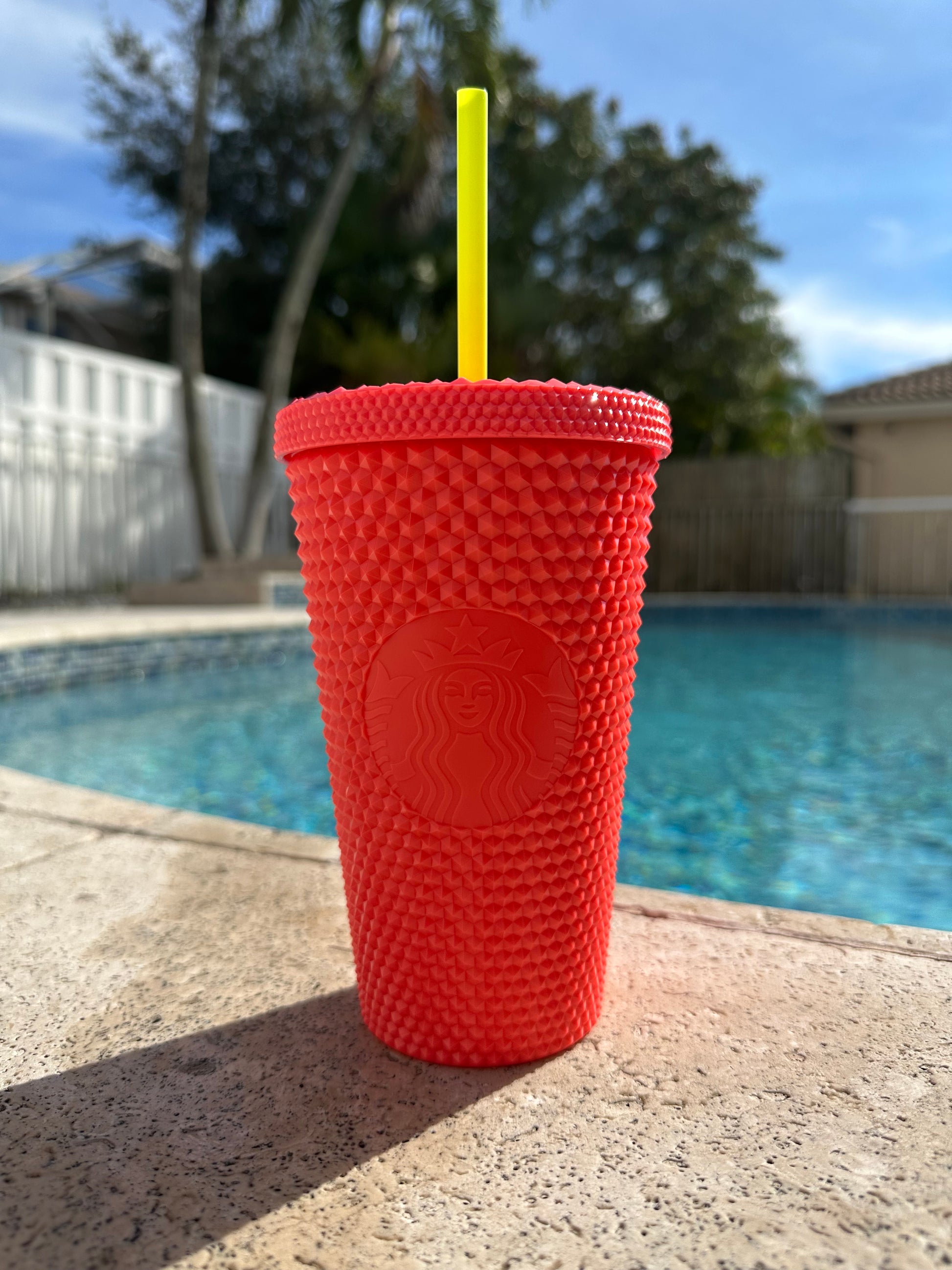 Dragon fruit pink Studded Tumbler