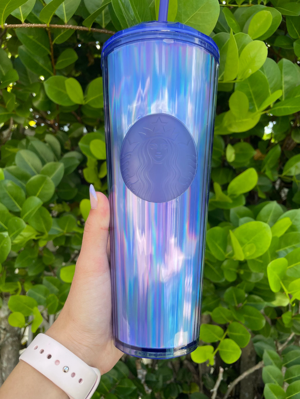 Purple Dome holographic 24 oz tumbler
