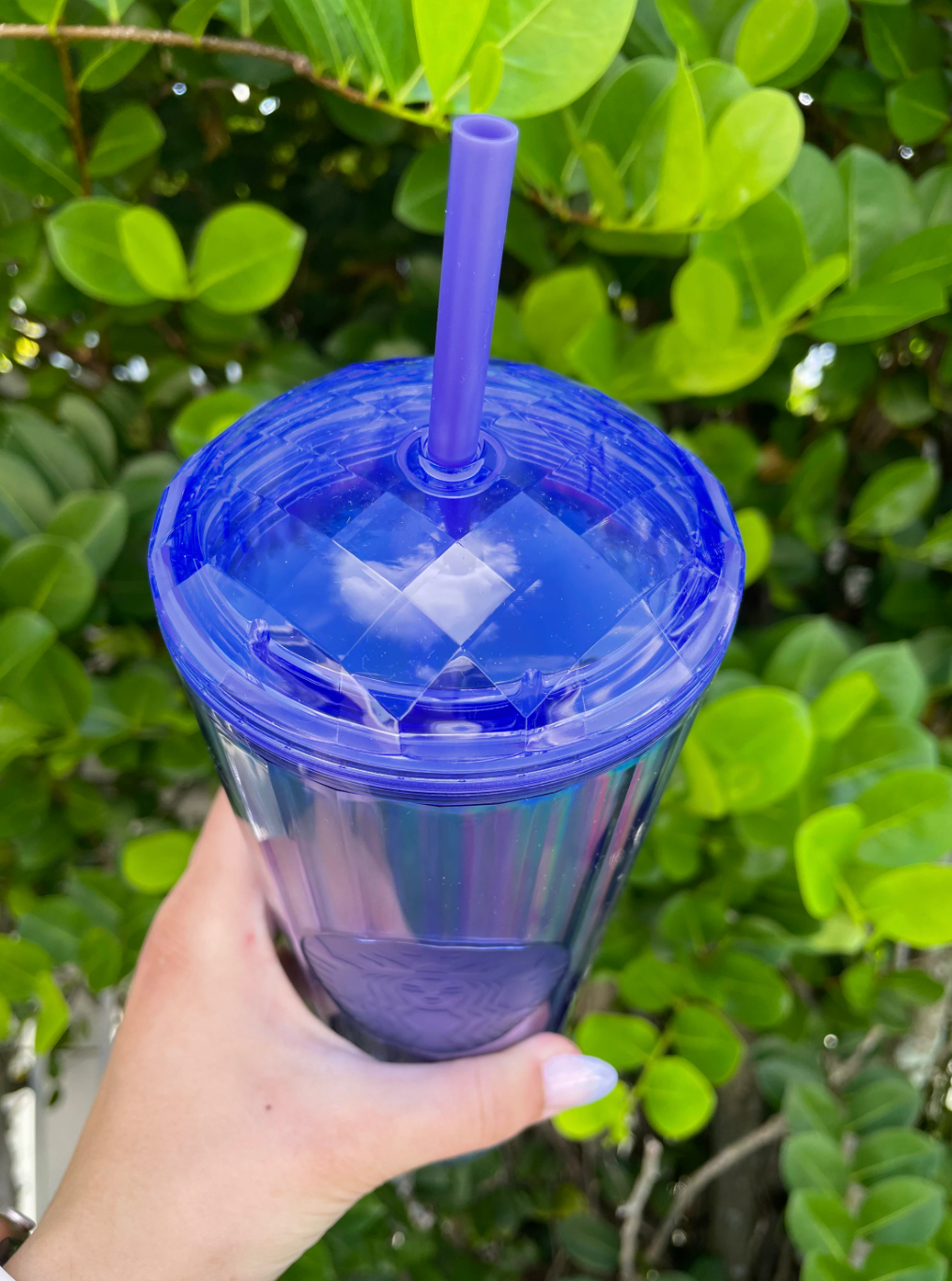 Purple Dome holographic 24 oz tumbler
