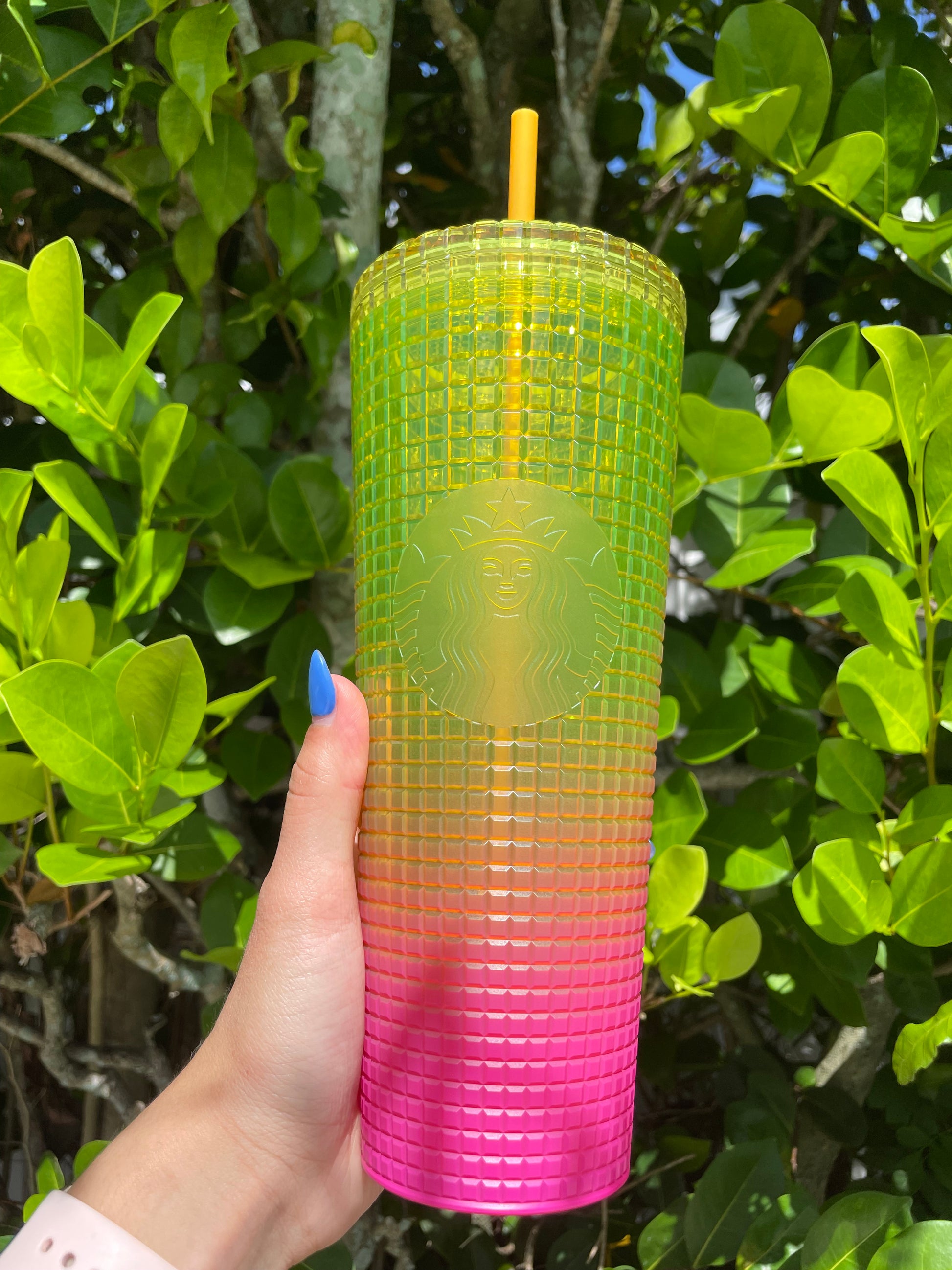 Yellow and Pink Ombre Grid 24oz Venti Tumbler